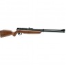Пневматическая винтовка CROSMAN Benjamin Discovery BP9M22GP