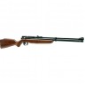 Пневматическая винтовка CROSMAN Benjamin Discovery BP9M22GSL
