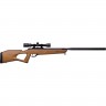 Пневматическая винтовка CROSMAN Benjamin Trail NP2 R8-BTN217SX
